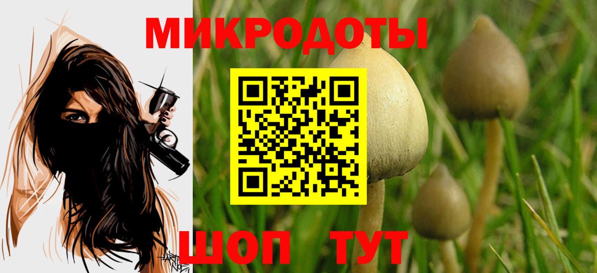 Шадринск  продажа наркотиков  Вход с VPN  Псилоцибиновые грибы Cubensis 